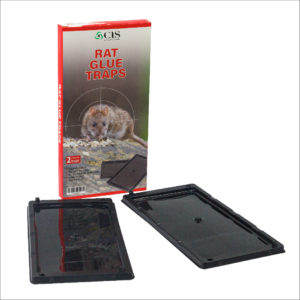 CIS-rat glue trap