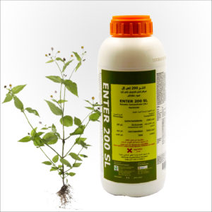 ENTER 200 SL Herbicide classified as group H,10
