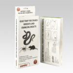 Snake, crawling insects and rodent glue trap