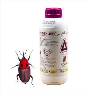 sherwood_Pyrinex 48 EC is an organophosphorus insecticide with a special formulation that is used for foliar insect pest treatments