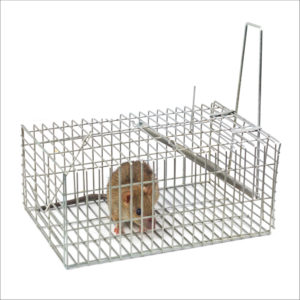 Sherwood_Rat trap cage