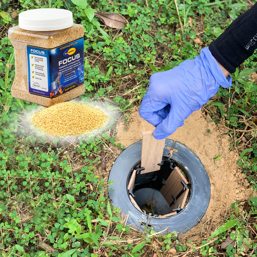EXTERRA In-Ground Station (IGS) Termite Interception and Colony Elimination  System – Sherwood Pesticide Trading