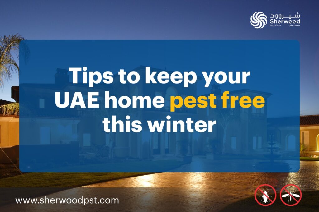 Tips to Keep Your UAE Home Pest-Free