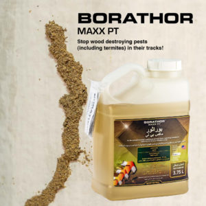 borathor maxx Pt destroying pests including termites