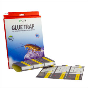 Trap for German and Oriental cockroaches