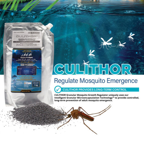 Culithor Regulate mosquito emergence