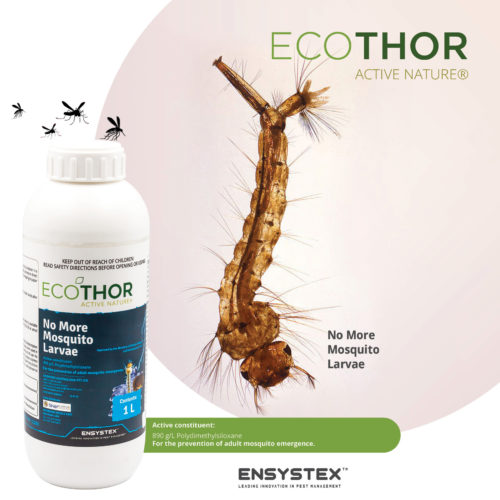Ecothor no more larvae