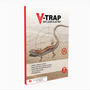V-trap anti Lizard glue board