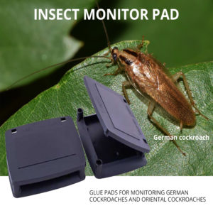 insect & cockroaches monitor pad